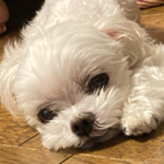 Mica