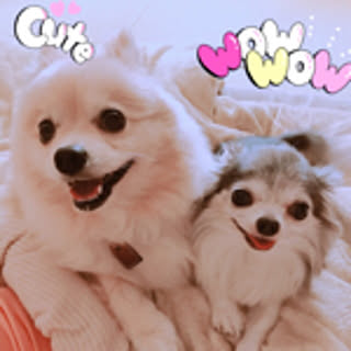hotawasa