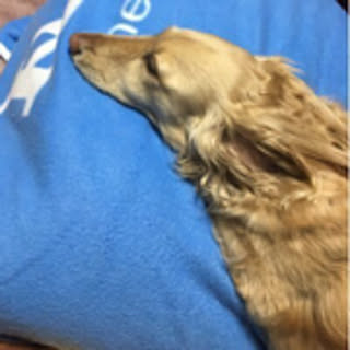 chaki_chaki00