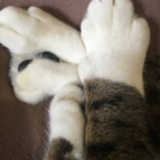 .nanayama