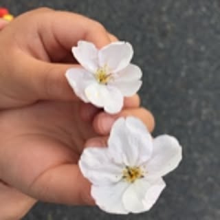 non.hana