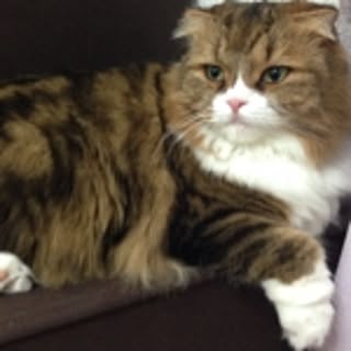 Yuka