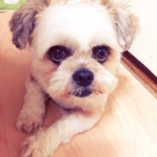 yuki