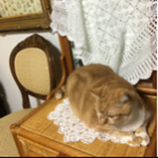 nyanta