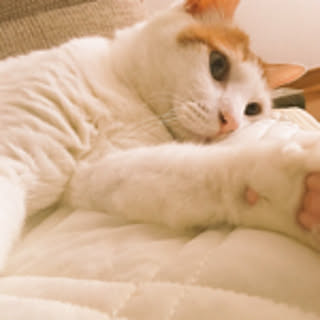 nawoko