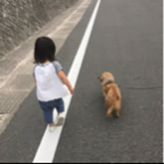Naminami