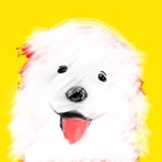samon_aid