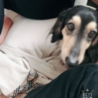 miikiiy28