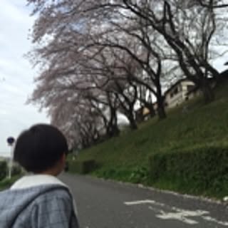 Akiko