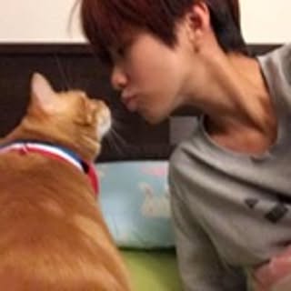 Meowdi