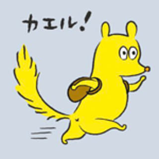 chks5xxx11