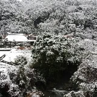 morimori