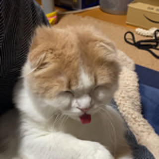 kazuheieri