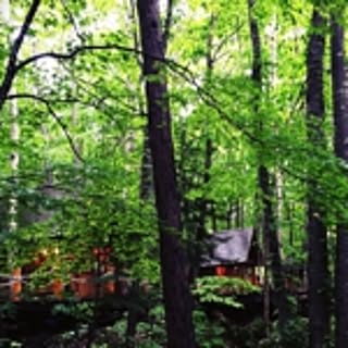 natural-sinple.28