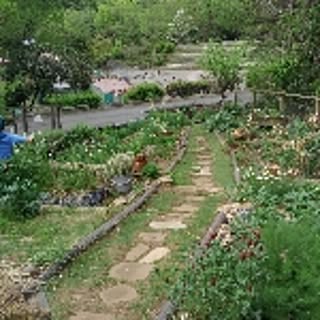 ekurea_1110