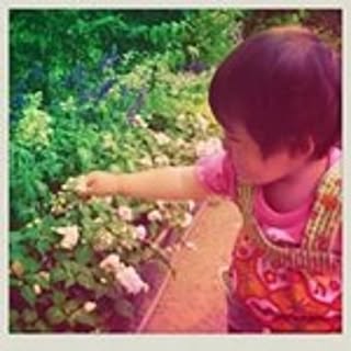 aoi