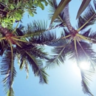 Ao-Lani