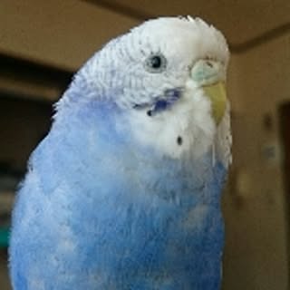 saaaaaa