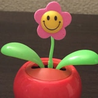 naotee