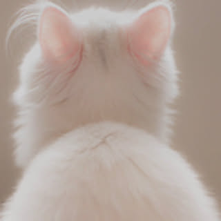 jun