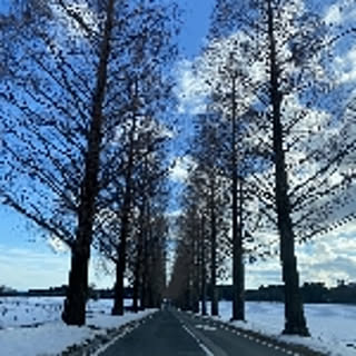 yanyon0194