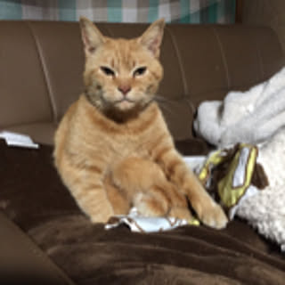 Tuna.ren
