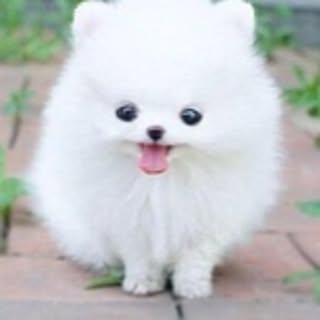tgjamgejw.jp