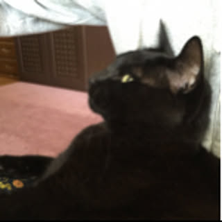 mac