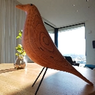 syamoji