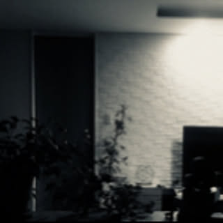 papa