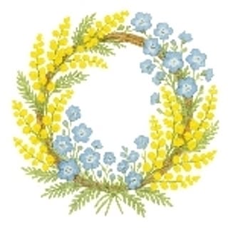 mimosa