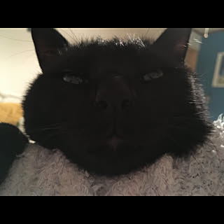 muttan