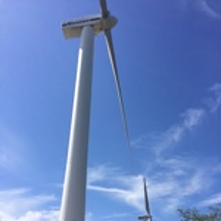 pu