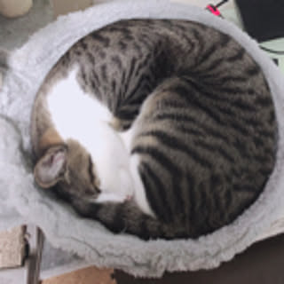 sakuboo5