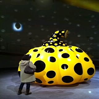 rariruremico