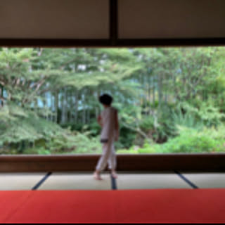 y-y412