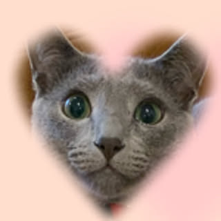 mi