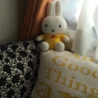 miffy