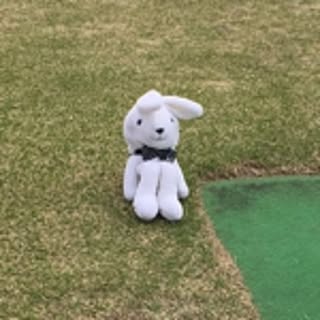 koichiro.