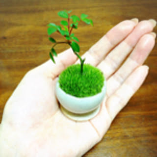 akinco