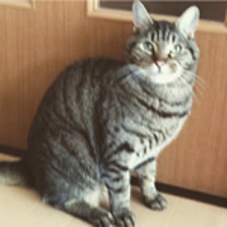 aru