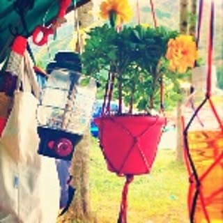 today_9816