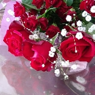rose36