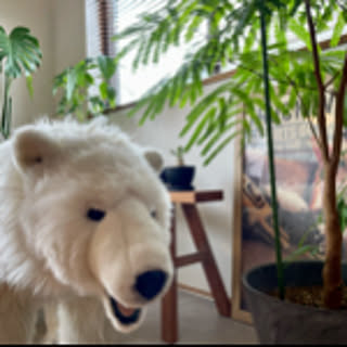 shirokuma