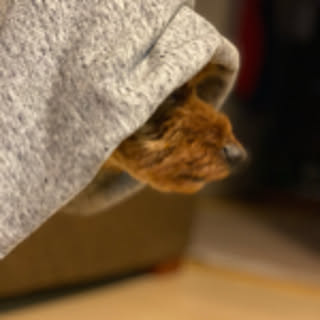 mica