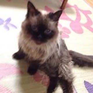 Hideki