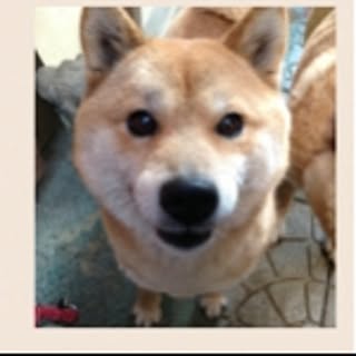 okachan.wd