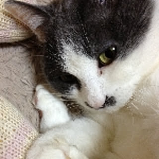 Lucy.D2002