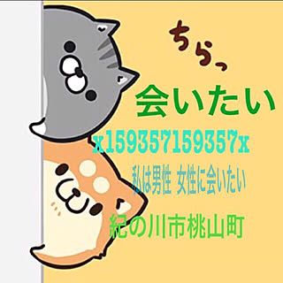 x159357159357x