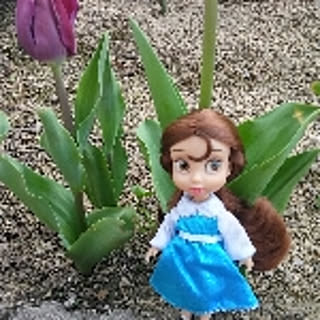 pippi
